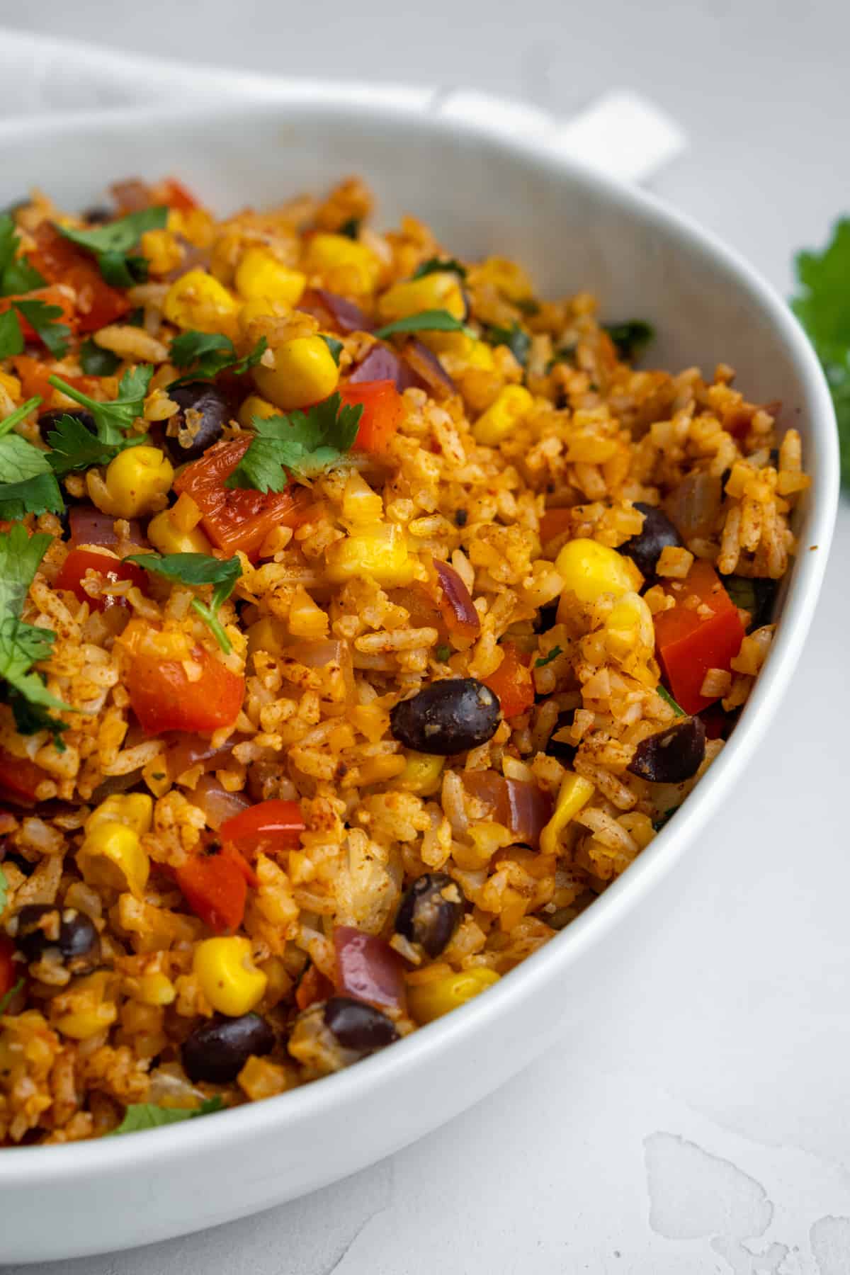 Spanish rice filled with beans, corn, red onions, and more.