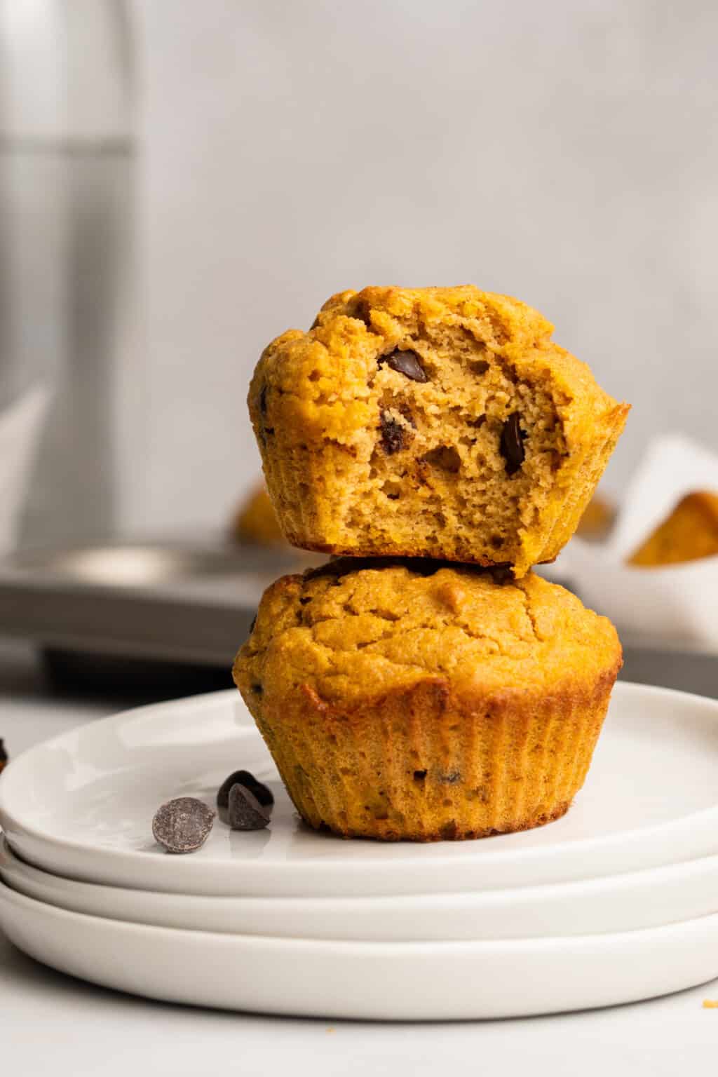 10 High Protein Macro Friendly Recipes - Oh Snap Macros