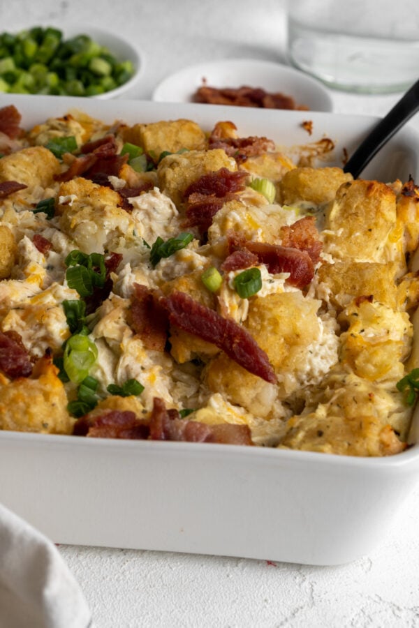 10 High Protein Macro Friendly Recipes - Oh Snap Macros