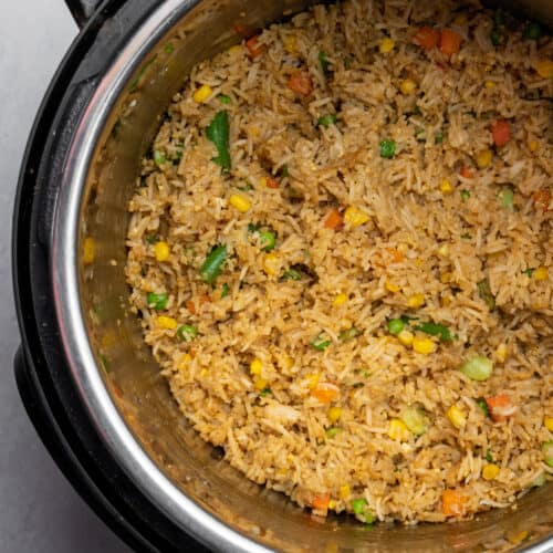 https://ohsnapmacros.com/wp-content/uploads/2023/02/ip-fried-rice-10-500x500.jpg