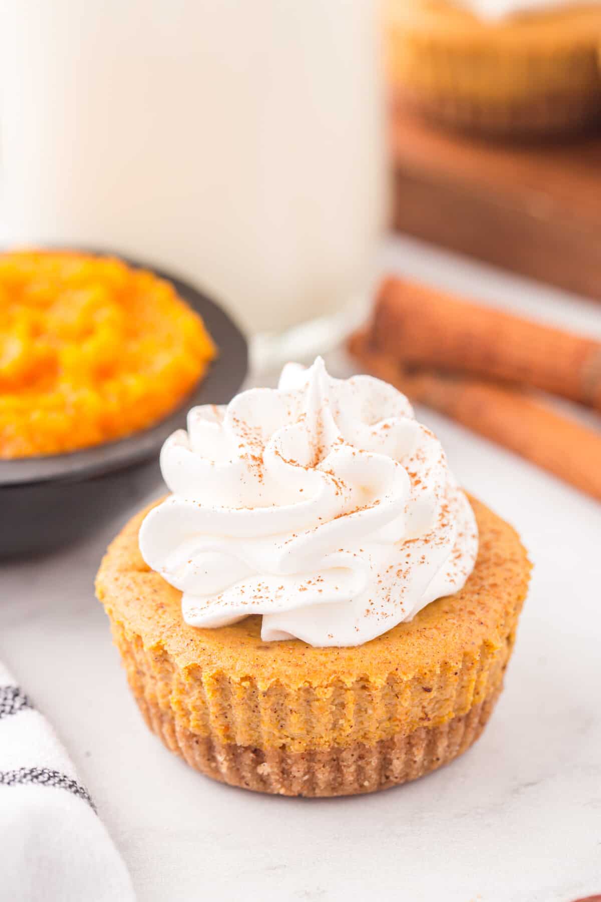 mini pumpkin cheesecakes