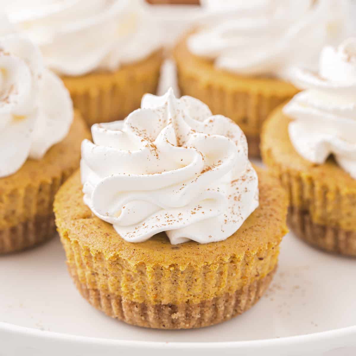 Mini pumpkin pie cheesecakes with whipped cream on top.