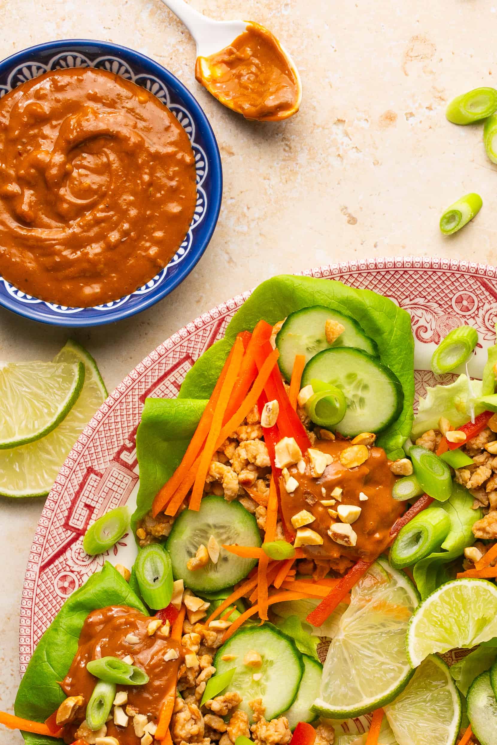 Homemade Lower Calorie Peanut Sauce (made with PB2) Oh Snap Macros