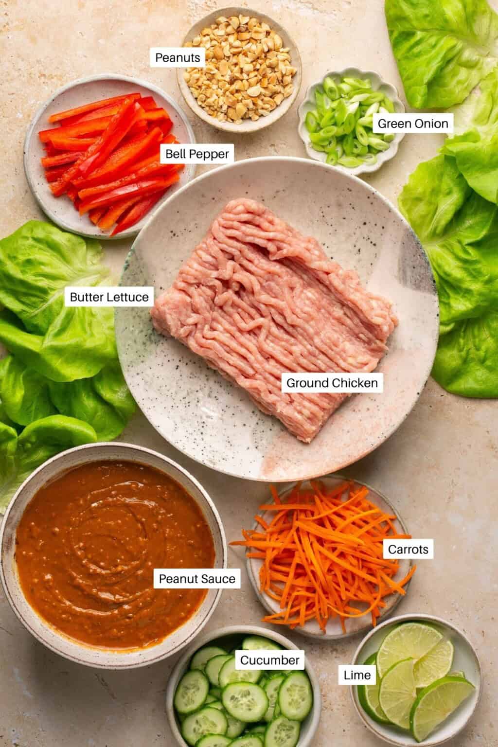 Peanut Chicken Lettuce Wraps with LowFat Sauce Oh Snap Macros