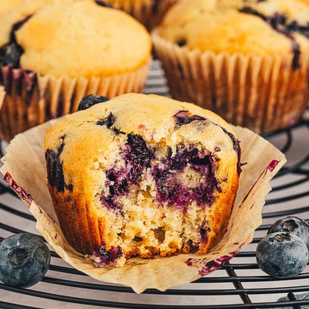 Bueberry muffin with a bite taken out of it sitting on a cooling rack.