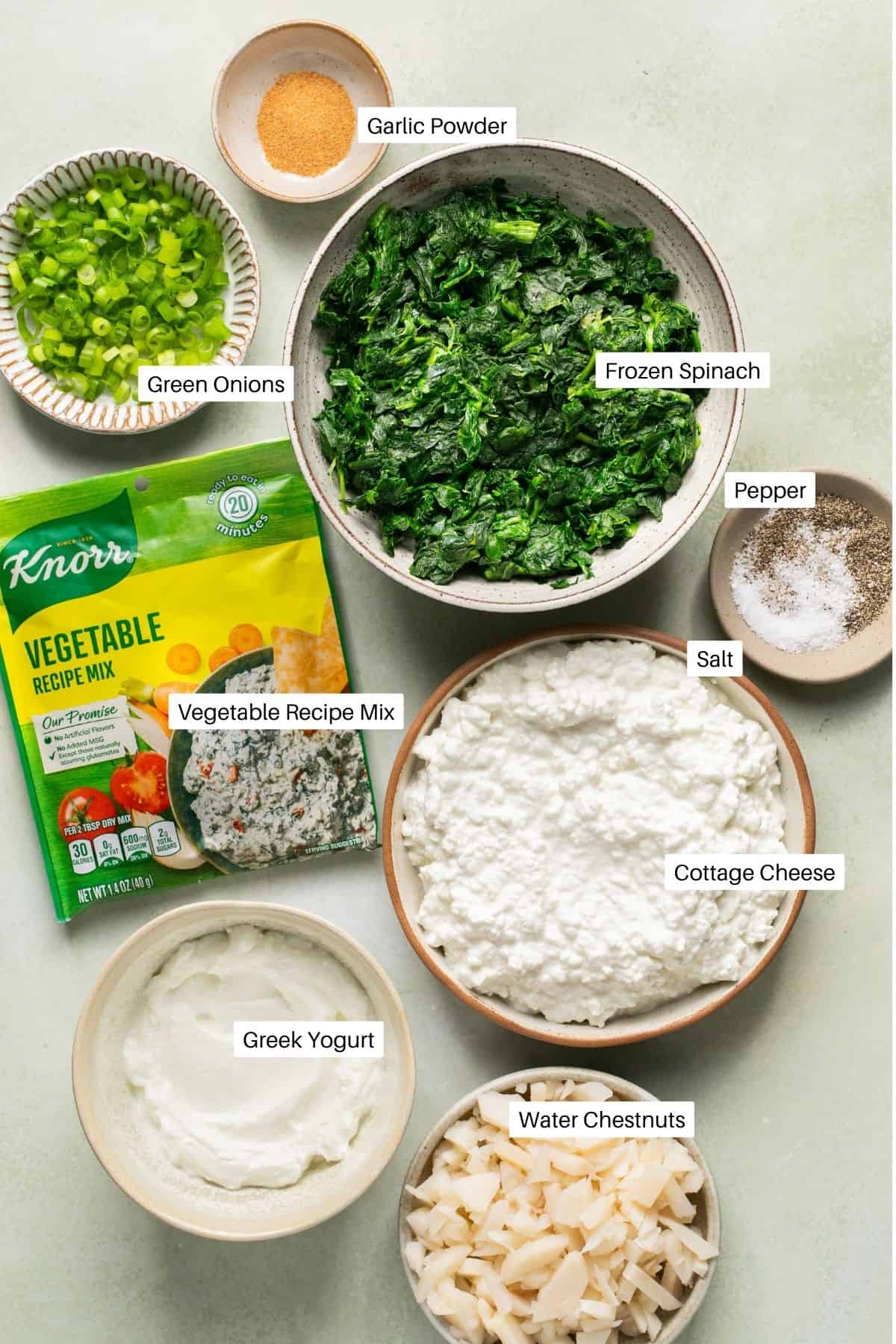 Garlic powder, green onions, frozen spinach, Knorr vegetable recipe mix packet, salt, pepper, cottage cheese, greek yogurt and water chestnuts laid out for making a dip. 