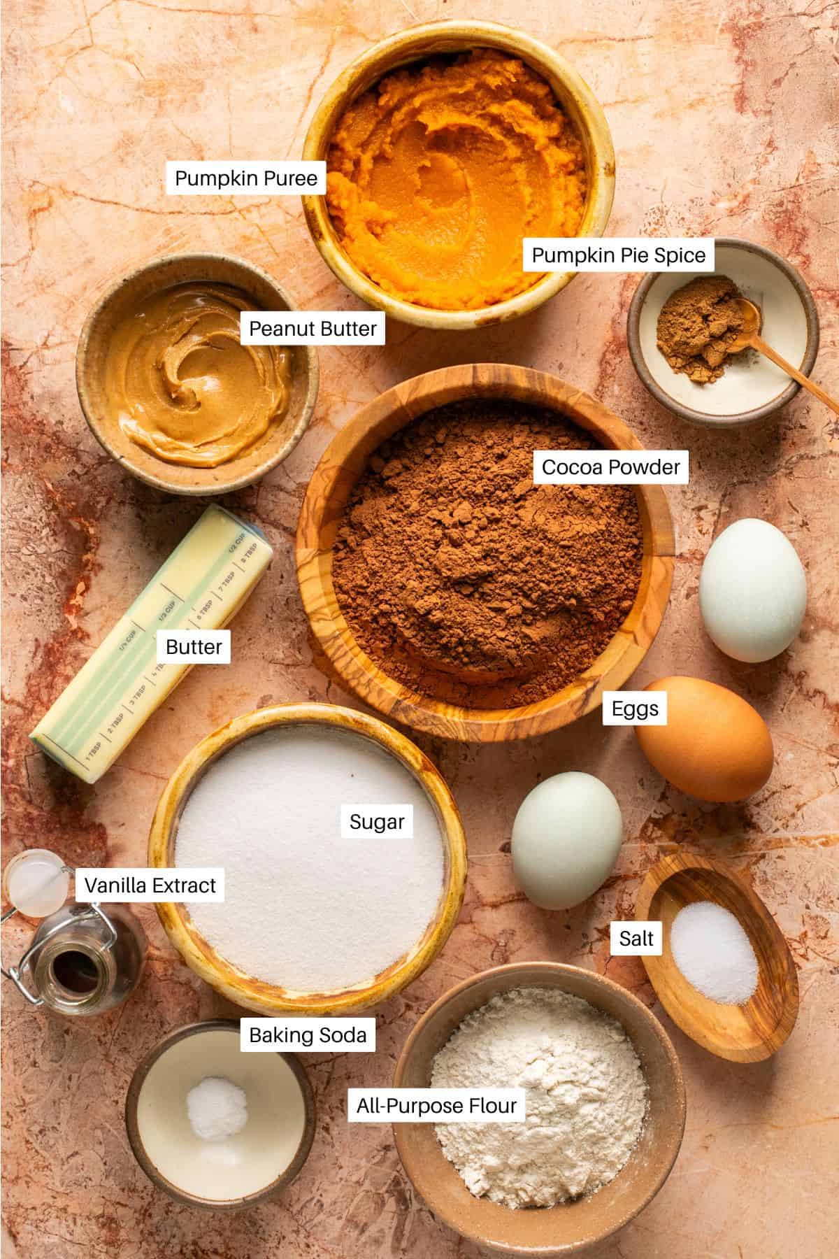 Sugar, eggs, vanilla extract, butter, cocoa powder, salt, baking soda, pumpkin puree, peanut butter, flour and pumpkin pie spice for pumpkin brownies. 