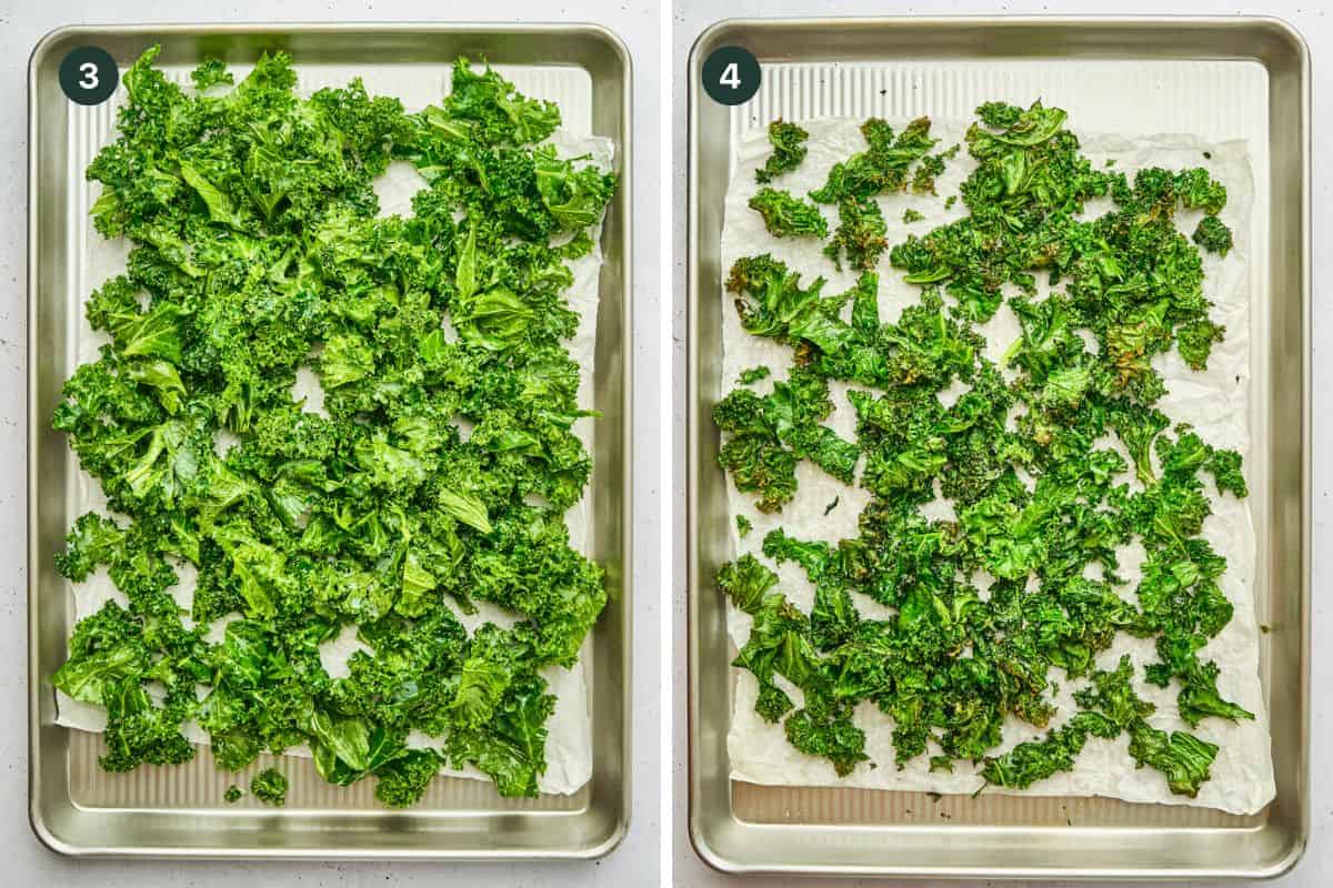 Kale pieces on a parchment lined baking sheet cooked and crispy. 