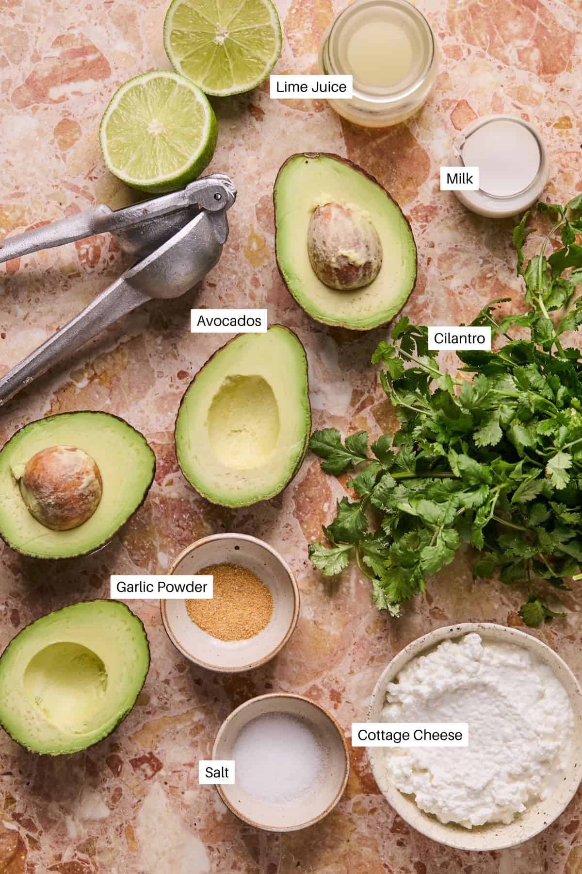 Top-down view of ingredients for a delightful avocado crema on a marble surface, featuring halved avocados, lime juice, milk, cilantro, garlic powder, salt, cottage cheese, and a lime squeezer with sliced limes.