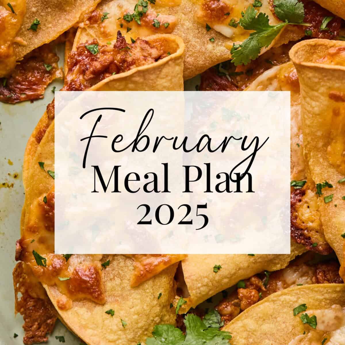 Close-up of cheesy enchiladas topped with cilantro. In the center, a white square overlay with the text February Meal Plan 2025 in elegant fonts.