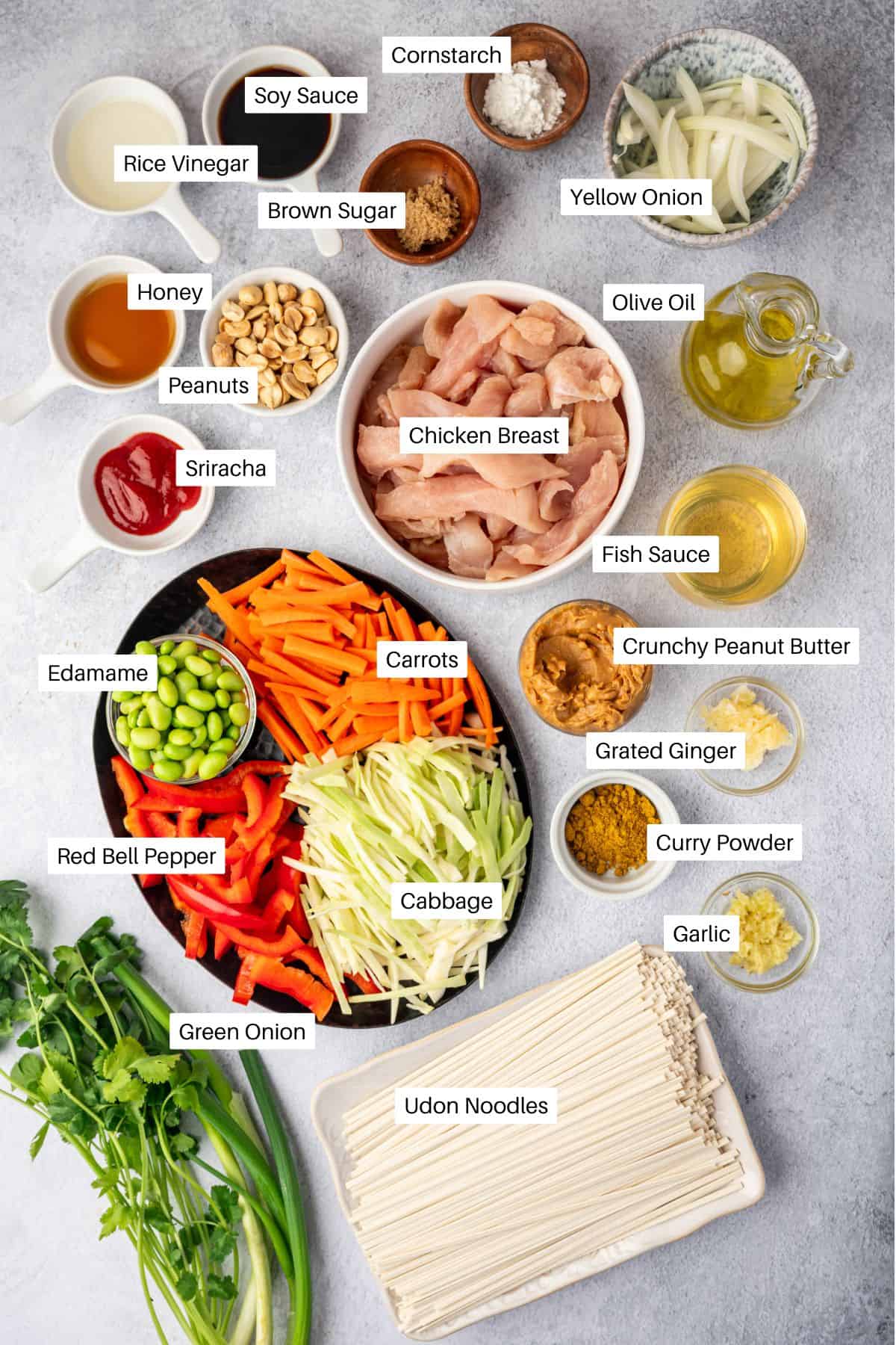 Top-down view of labeled Chicken Satay Noodles ingredients—chicken breast, vegetables, udon noodles, sauces, spices, peanut butter, olive oil, edamame, and nuts—artfully arranged on a light countertop.