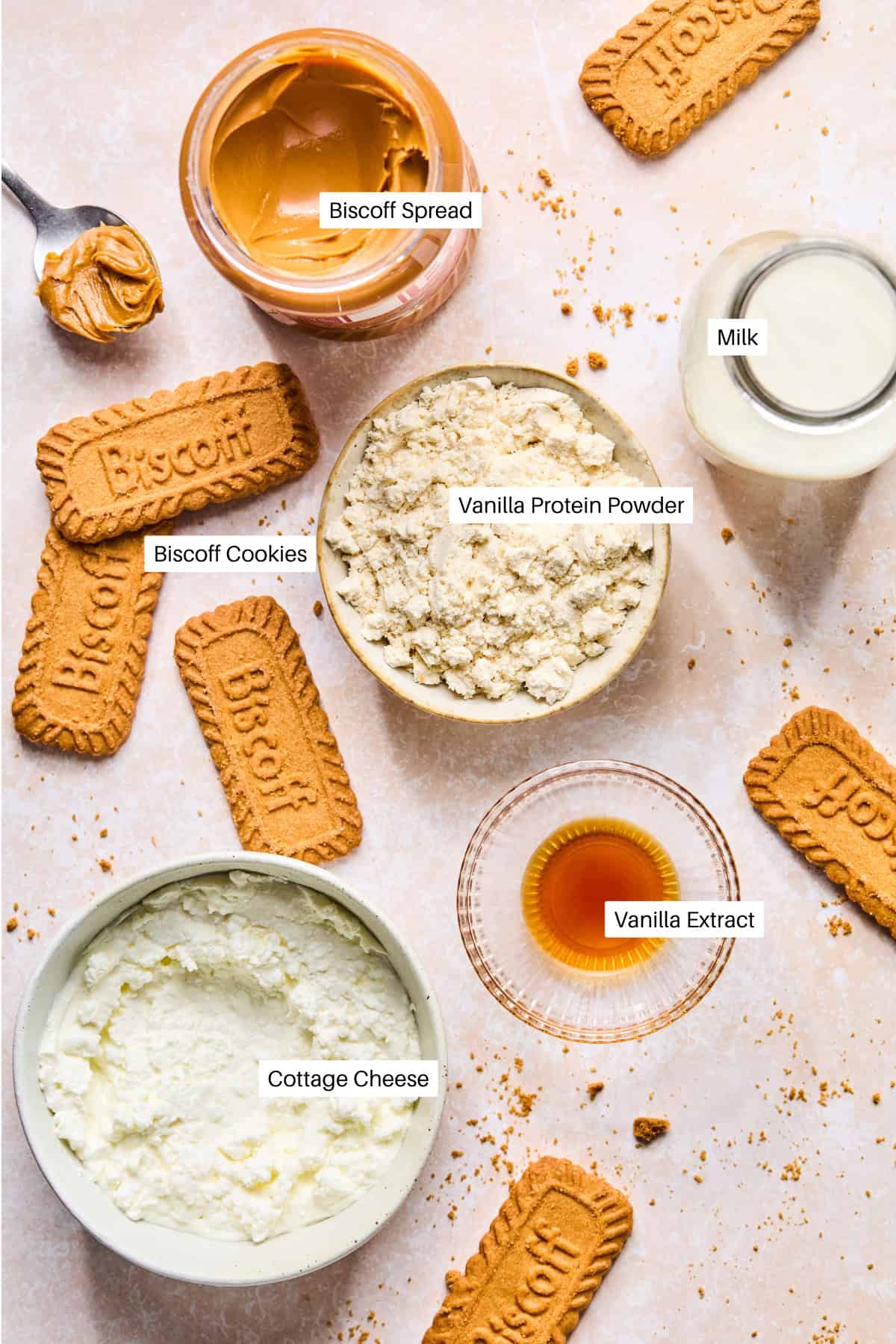 Bowls and jars containing ingredients for a Biscoff protein smoothie—Biscoff spread, milk, vanilla protein powder, vanilla extract, and cottage cheese—are arranged on a counter, surrounded by scattered Biscoff cookies. Each item is clearly labeled.
