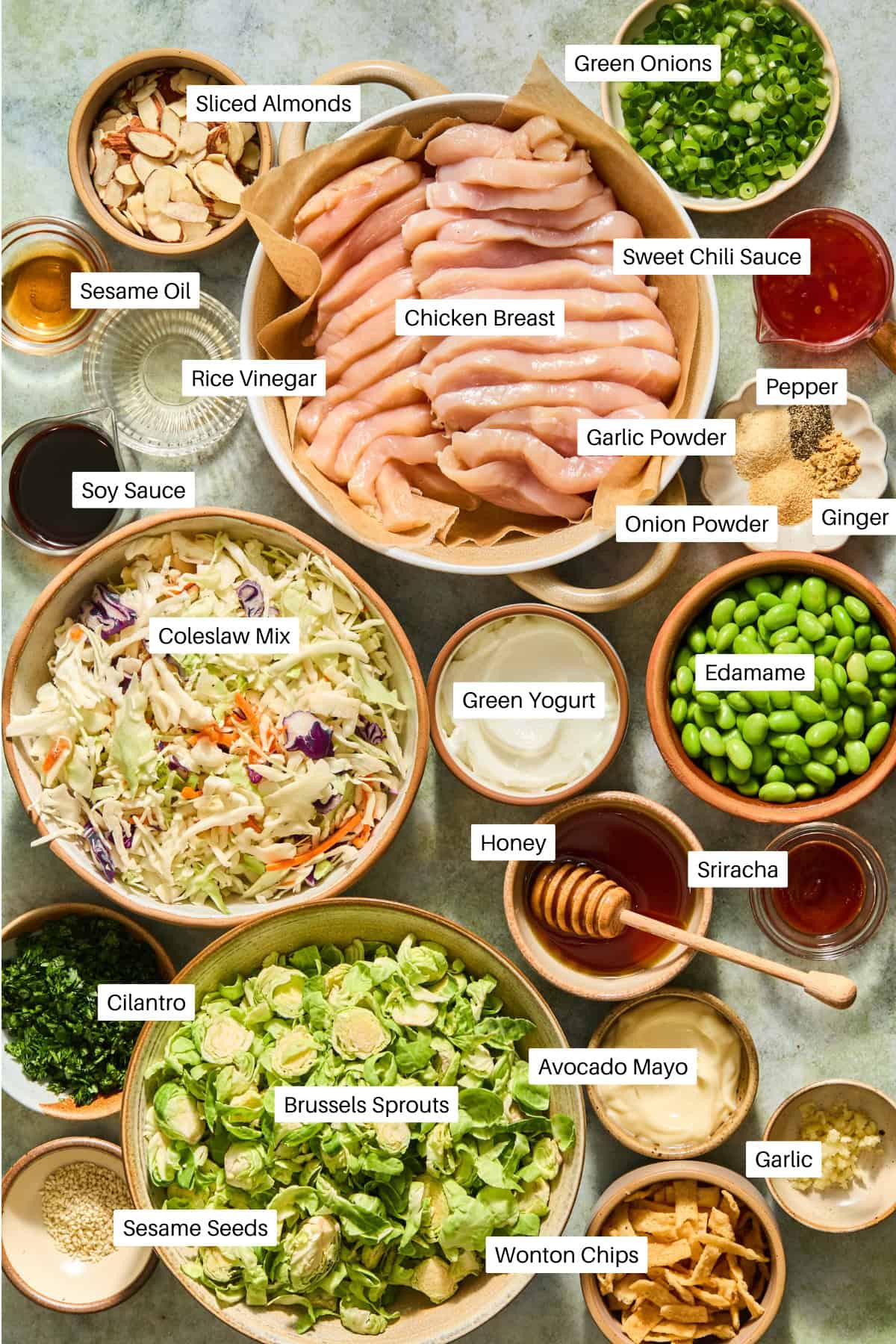 Bowls of labeled ingredients for a chicken salad, including chicken breast, vegetables, sauces, spices, honey, Greek yogurt, and wonton chips—arranged neatly on a countertop alongside the vibrant fixings for a refreshing watermelon feta salad.