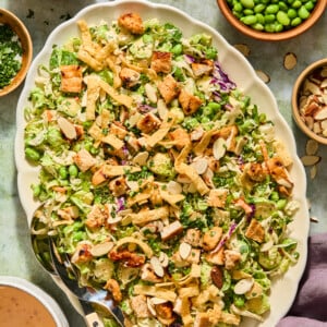 Large oval platter of chopped salad with grilled chicken, sliced almonds, crispy wonton strips, and green edamame. Surrounding bowls hold extra toppings, including a vibrant watermelon feta salad. A cup of pink dressing and utensils are beside the platter.
