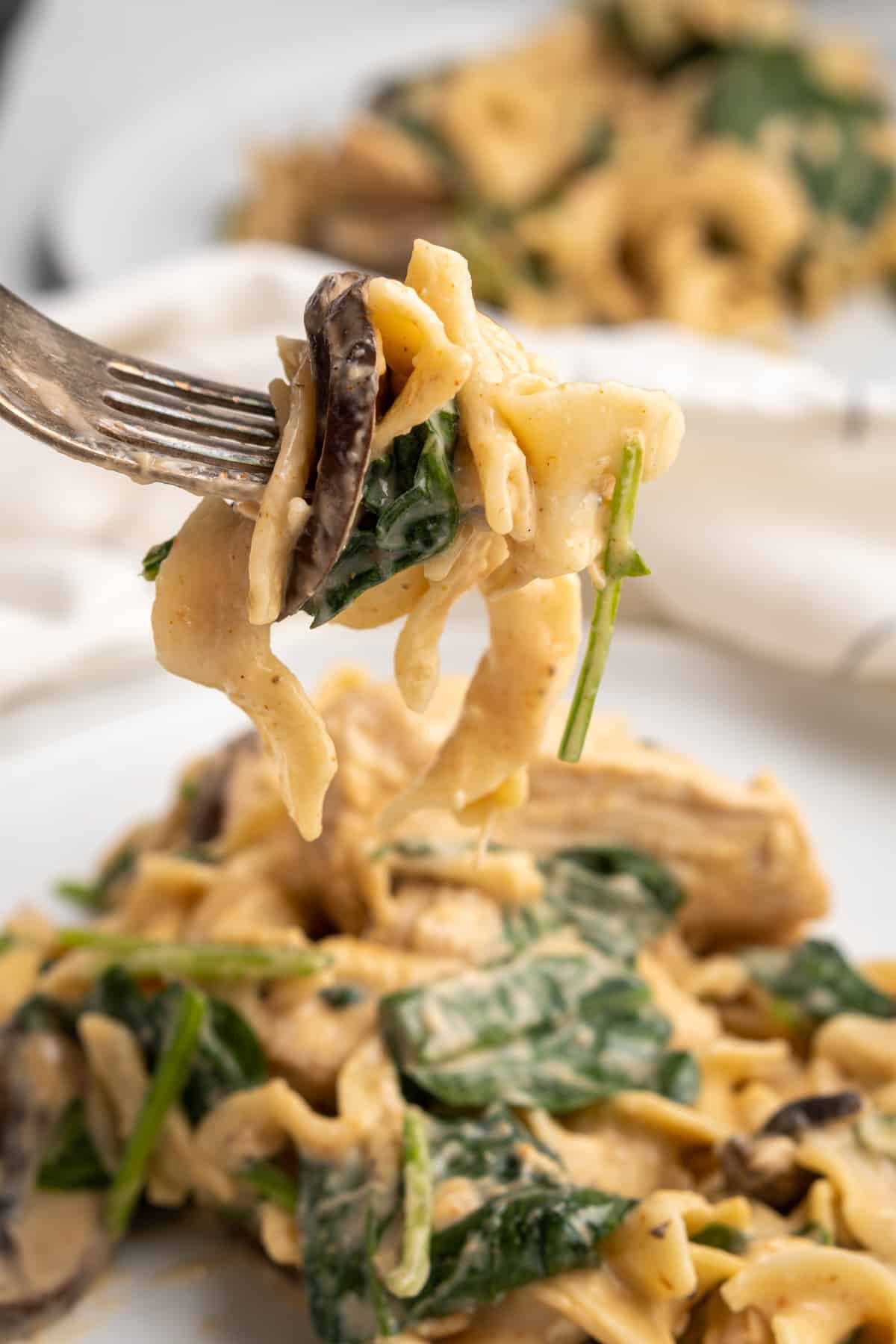 oshnapmacros-267 instant pot chicken stroganoff